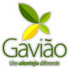 Gavião