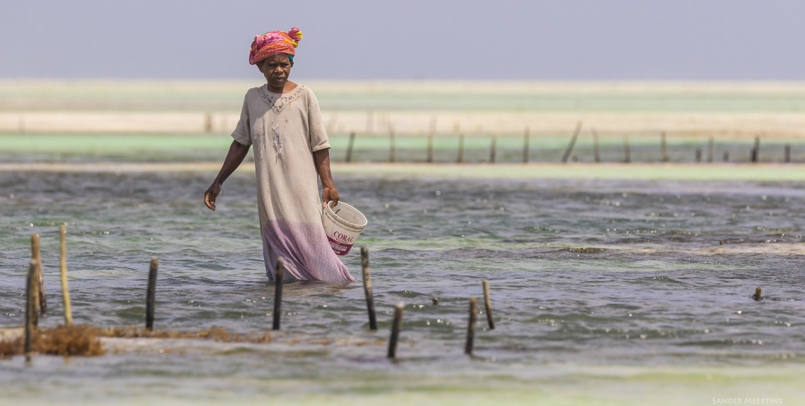 Zanzibar Women (Explore), Sander Meertins @Flickr 