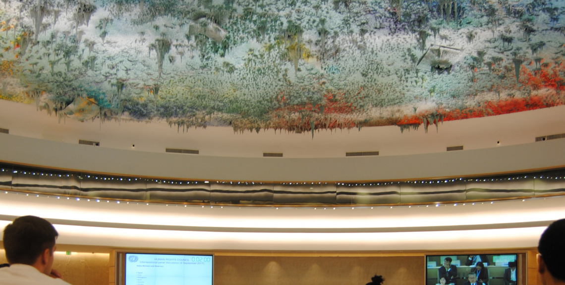 View of the Human Rights Council.