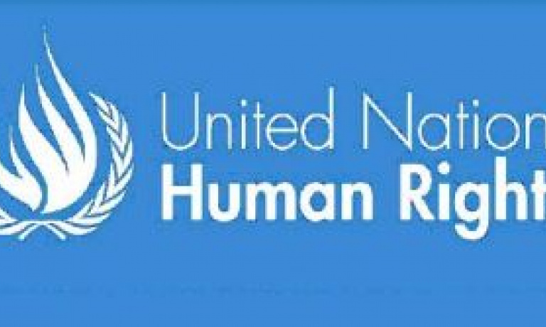 Derechos Humanos Naciones Unidas