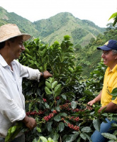The Coffee Trail Initiative