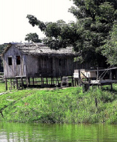 Redistributing Resources and Land Use in the Lower Amazon Floodplain 